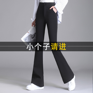 155小个子微喇叭拉链垂坠感长裤女秋季修身高腰直筒垂感西裤九分