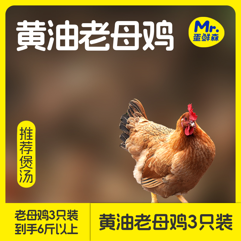 蛋鲜森黄油老母鸡400天整鸡