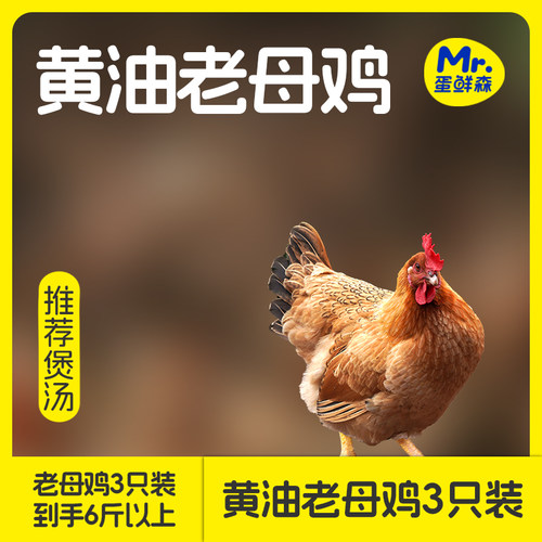 蛋鲜森黄油老母鸡400天整鸡