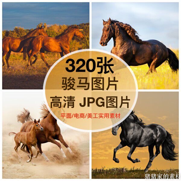 高清图库骏马图片动物装饰画芯打印喷绘合成绘画手机摄影壁纸素材图片
