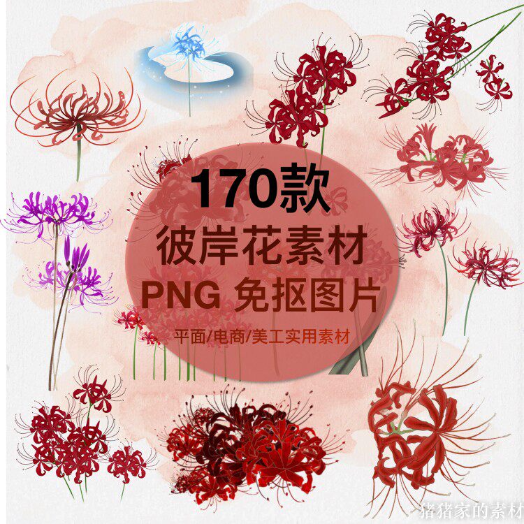 手绘中国风水彩红色彼岸花png图片免抠ps透明插图装饰设计素材