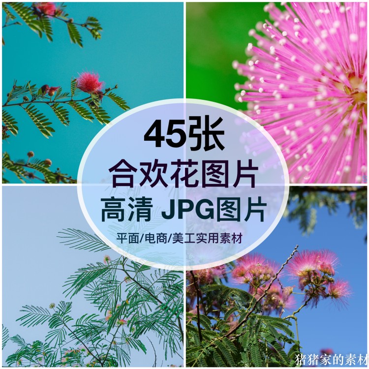 高清图库 合欢花图片素材多花朵自媒体抖音ps设计装饰画摄影壁纸图片