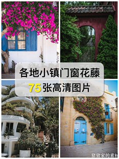 高清各地小镇风景建筑木门旧门窗上的藤蔓鲜花盆栽常青藤图片素材