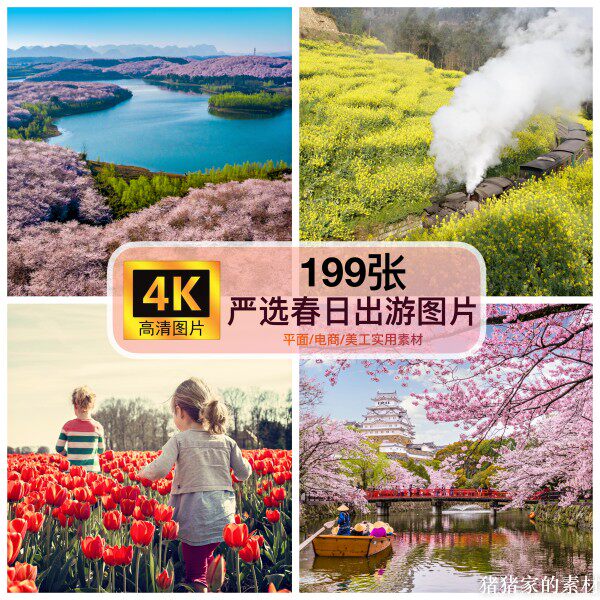 高清4k图片 春天出游春暖花开樱花海棠自媒体抖音PS设计壁纸素材图片