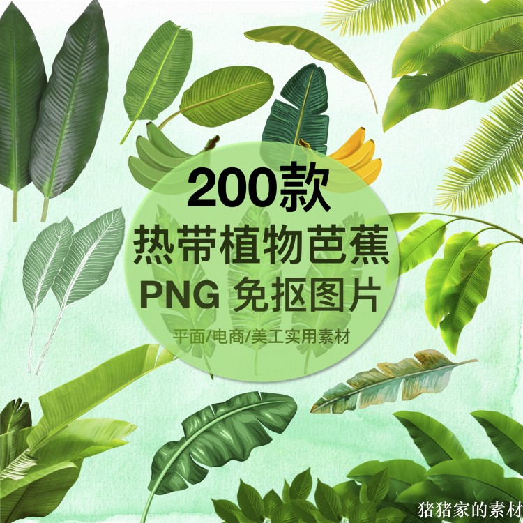 热带雨林芭蕉叶PNG图片 手绘国风水彩免抠PS透明插图装饰设计素材图片