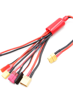 ISDT608 Q6 HOTA D6M8航模充电器多功能电源转接充电线1拖6