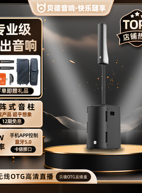 贝德音响刀风系列1981弹唱专业声卡唱K歌演出乐器线阵式演奏音箱