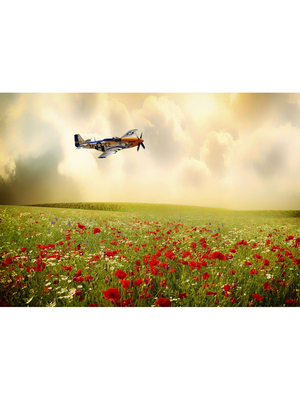 P51野马康提数字油画深圳发货