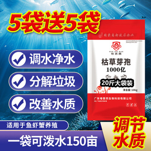 粤晋然10KG1000亿枯草芽孢杆菌水产养殖净水肥水分解虾垃圾有害藻