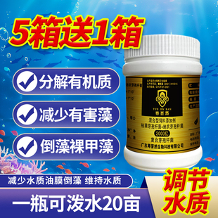 粤晋然2000亿复合芽孢杆菌瓶装 水产养殖净水分解有害藻有机质产品