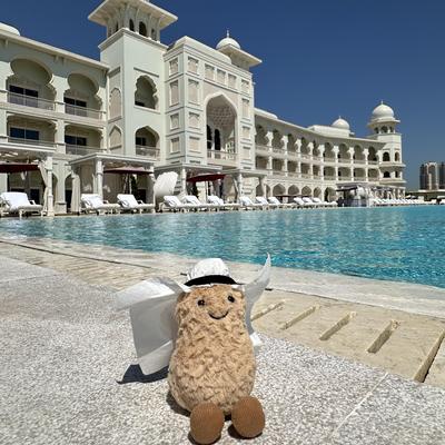 jellycat趣味花生好事发生玩偶