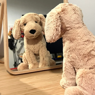英国jELLYCAT摆烂小狗奥兰多小狗金毛寻回犬唐布利牧羊犬西高地新