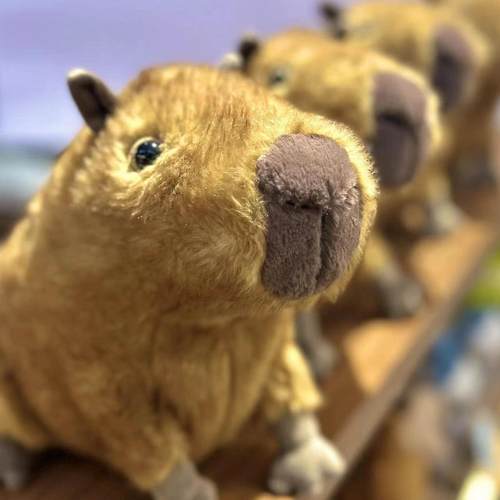 jellycat克莱德水豚玩偶毛绒玩具