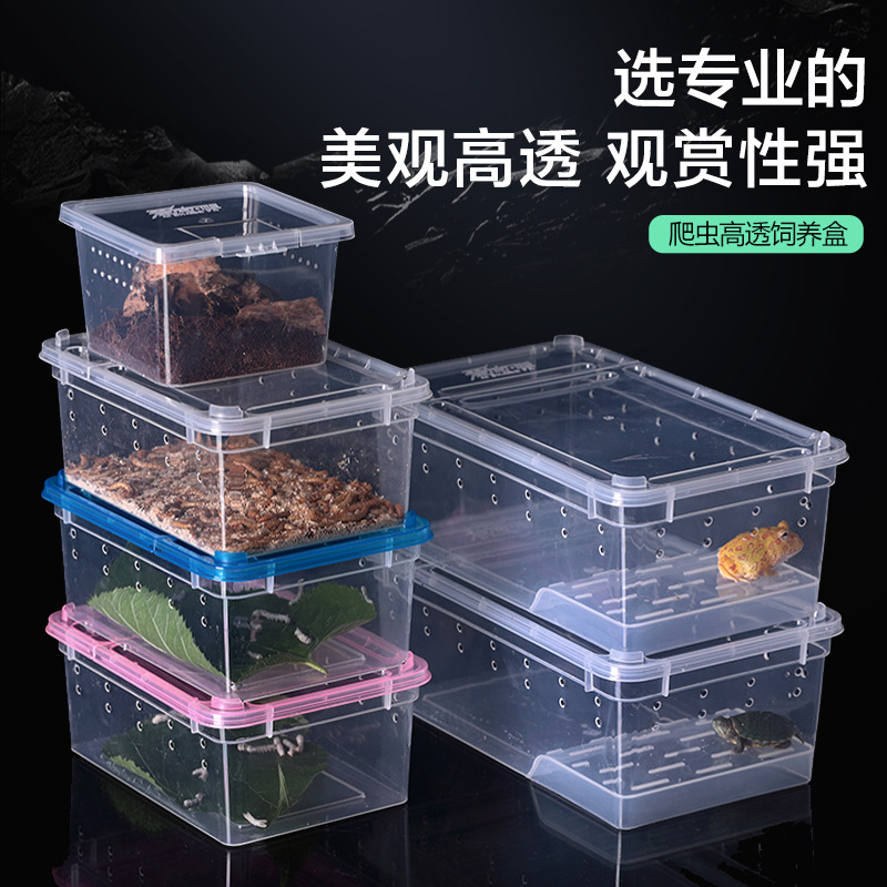 小青蛙饲养盒两栖箱缸守宫角蛙盒带晒台塑料乌龟盒角蛙饲养箱