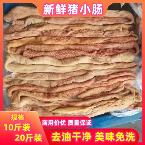新鲜冷冻猪大肠包邮猪小肠商用
