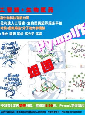 PymoL作图生物医学工程药物设计分子对接虚拟筛选计算化学模拟