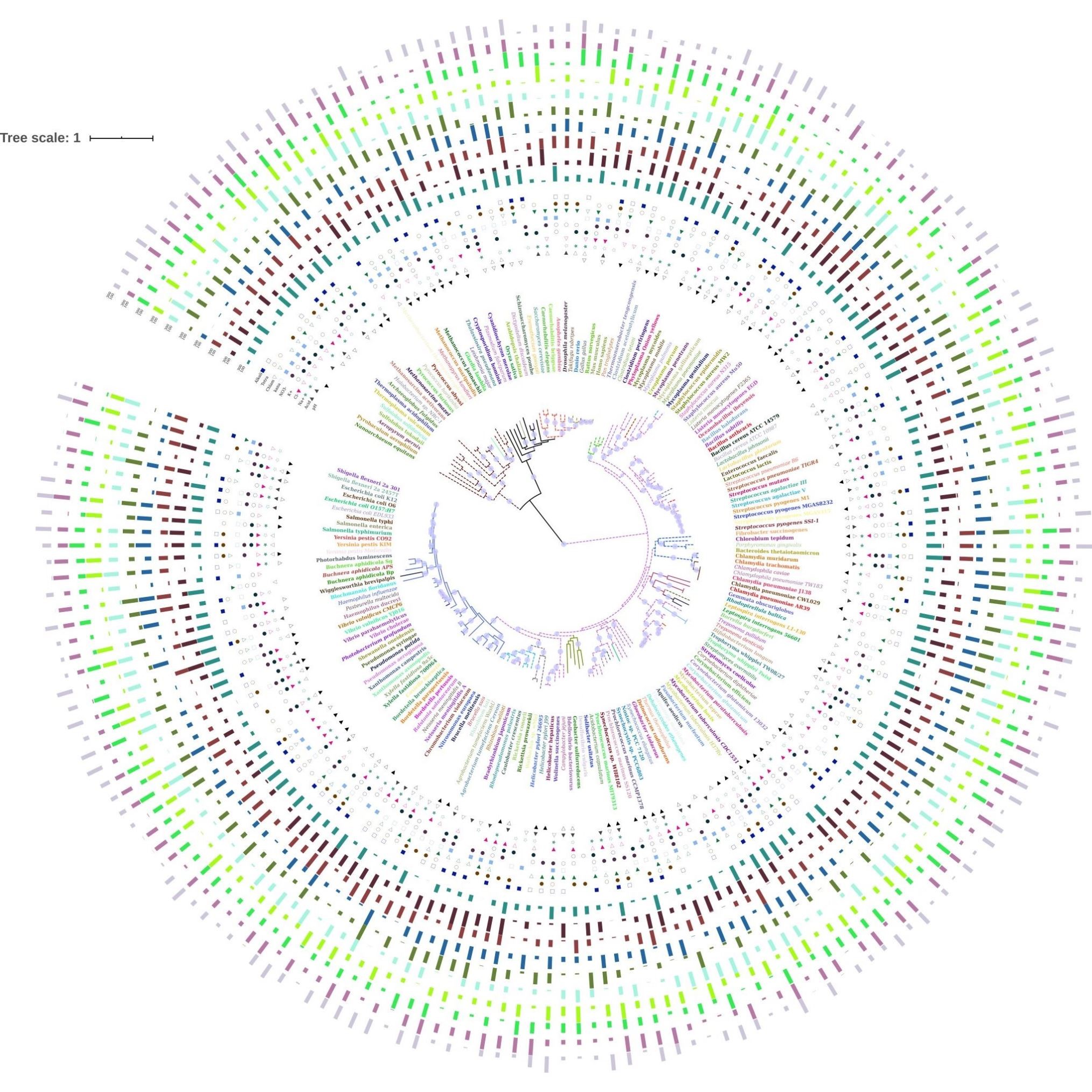 生信辅导教学TCGA GEO数据挖掘单细胞分析