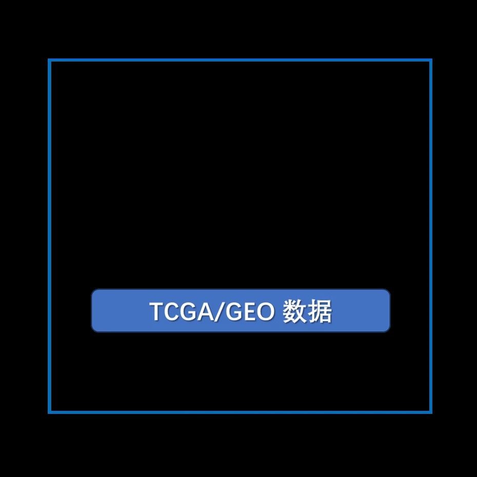 生信分析TCGA数据挖掘定制服务医学科研肿瘤单细胞转录组测序