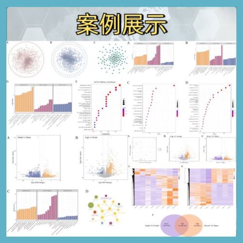 生物信息分析课程TCGA数据库挖掘GEO自学数据生信分析