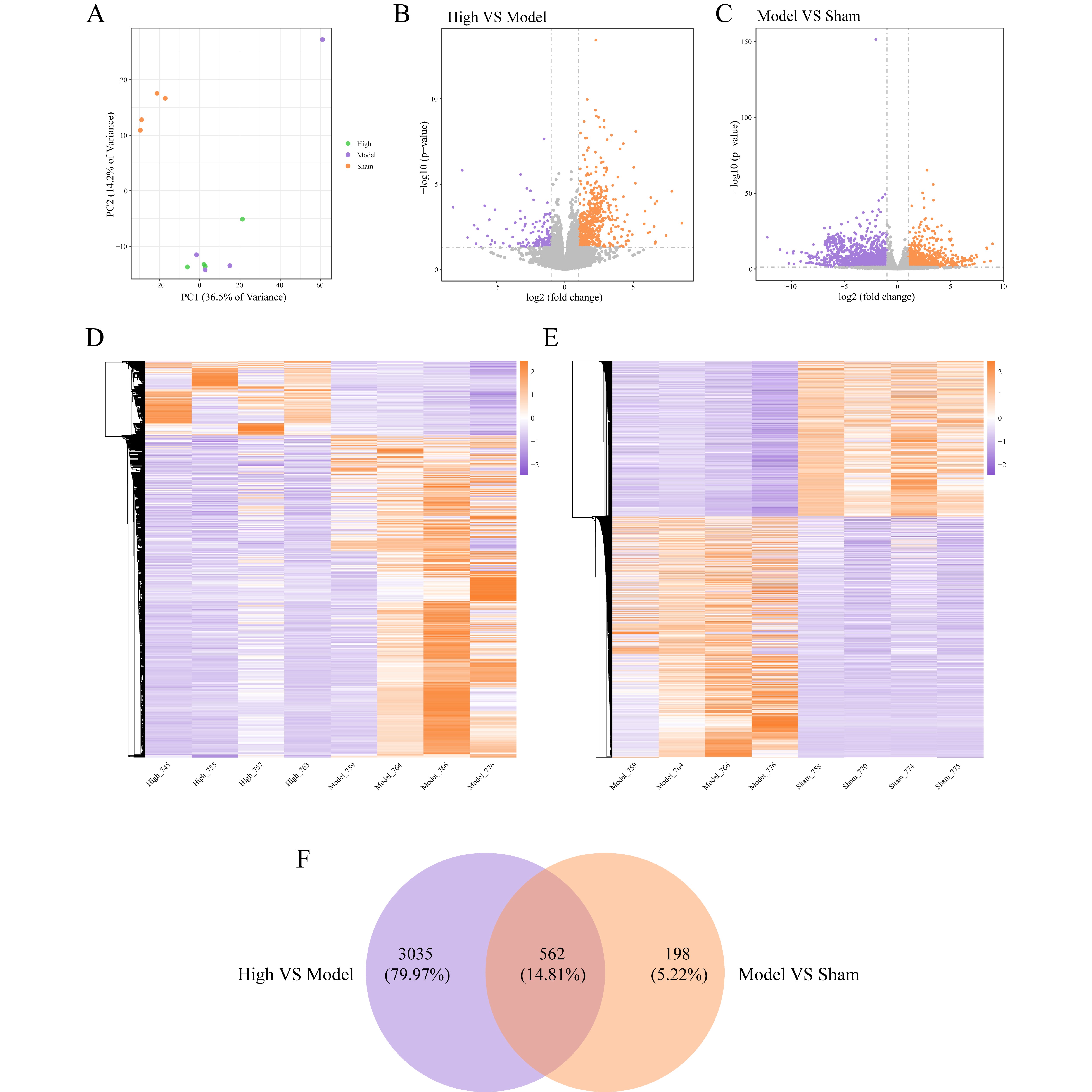 生信分析挖掘分析测序实验单细胞测序转录组学分析蛋白组学