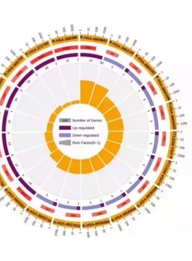 R语言代码脚本整理总结 转录组学 蛋白组学 GEO数据挖掘 TCGA数据