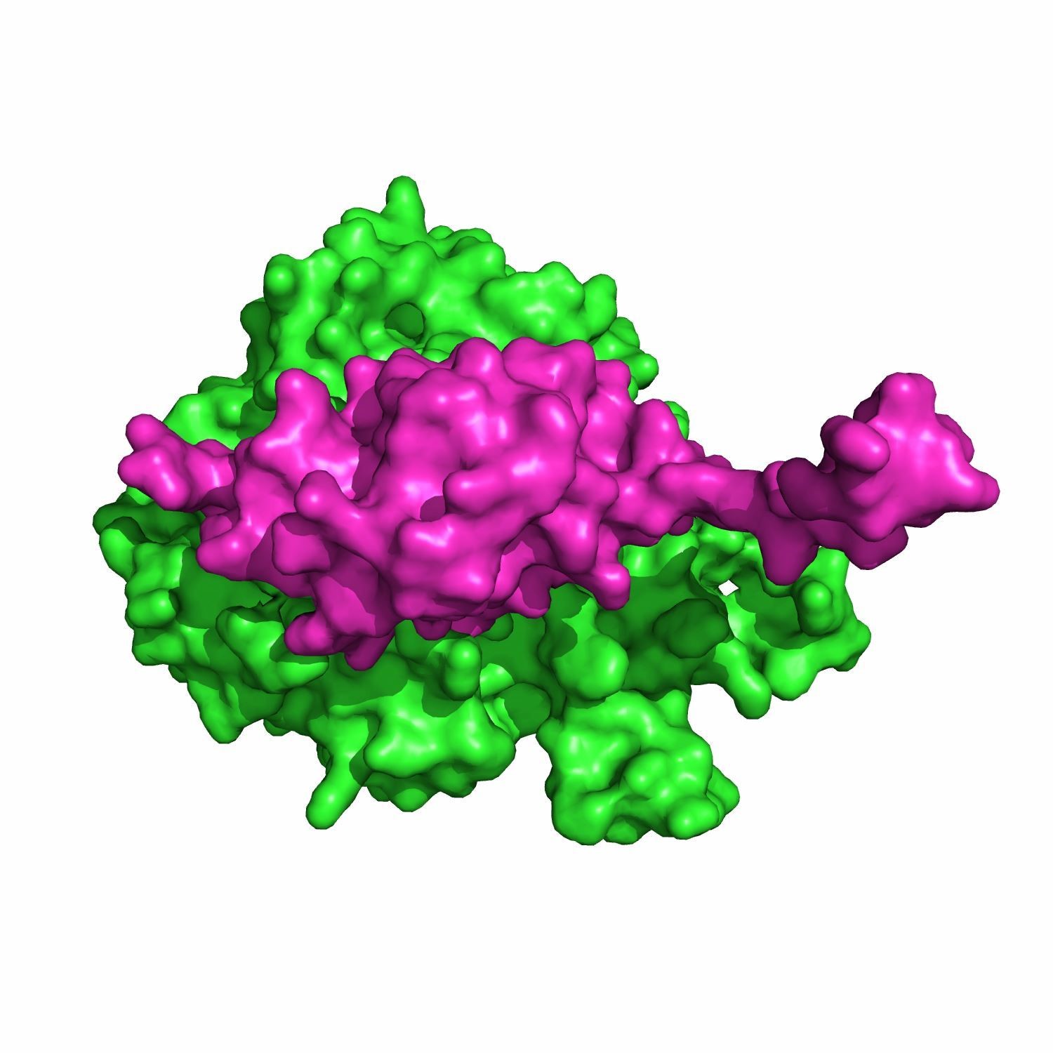 Docking 分子模拟 分子对接 分子动力学 设计服务费
