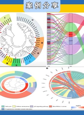 一对一辅导/系统学单细胞测序/chipseq/RNAseq/Atacseq/R语言培训