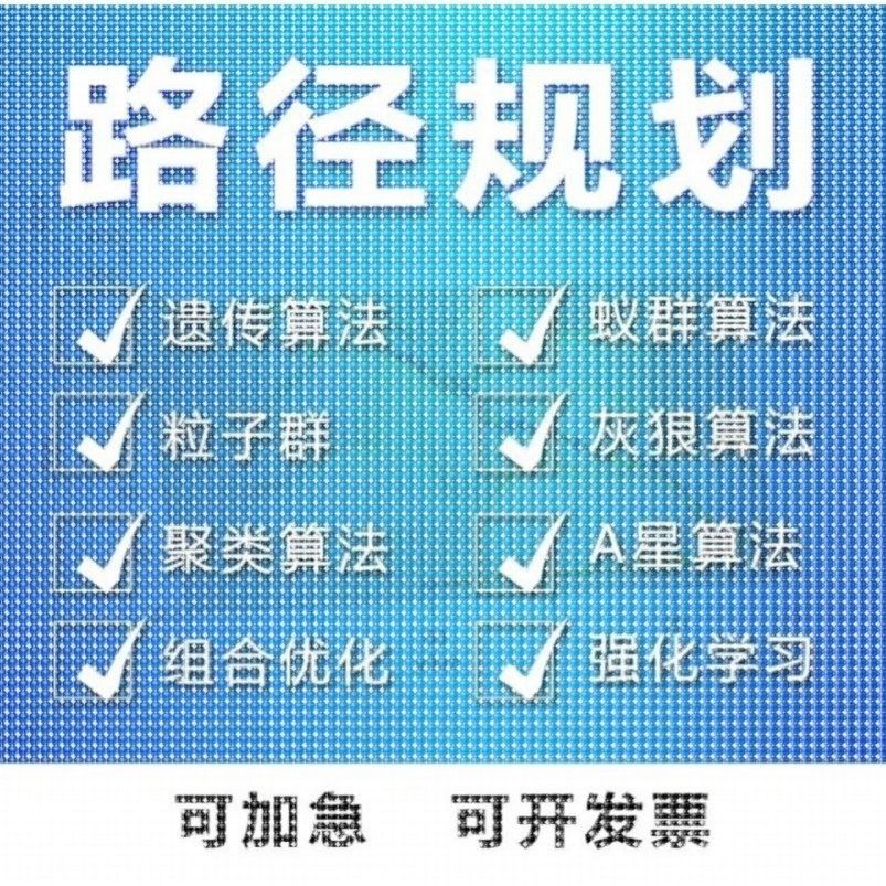 matlab路径规划遗传蚁群蜂群狼群算法代编python强化学习组合优化