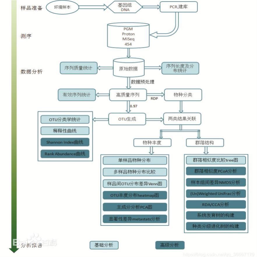 生信分析 网络药理学 生物信息学服务 单细胞测序 转录组 GEO