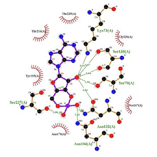 分子对接二维三维可视化作图