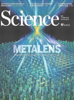 微纳光学仿真设计代做,版图绘制(FDTD,Matlab,Klayout)