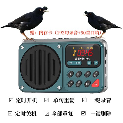 金正定时开关录音鹦鹉学话机