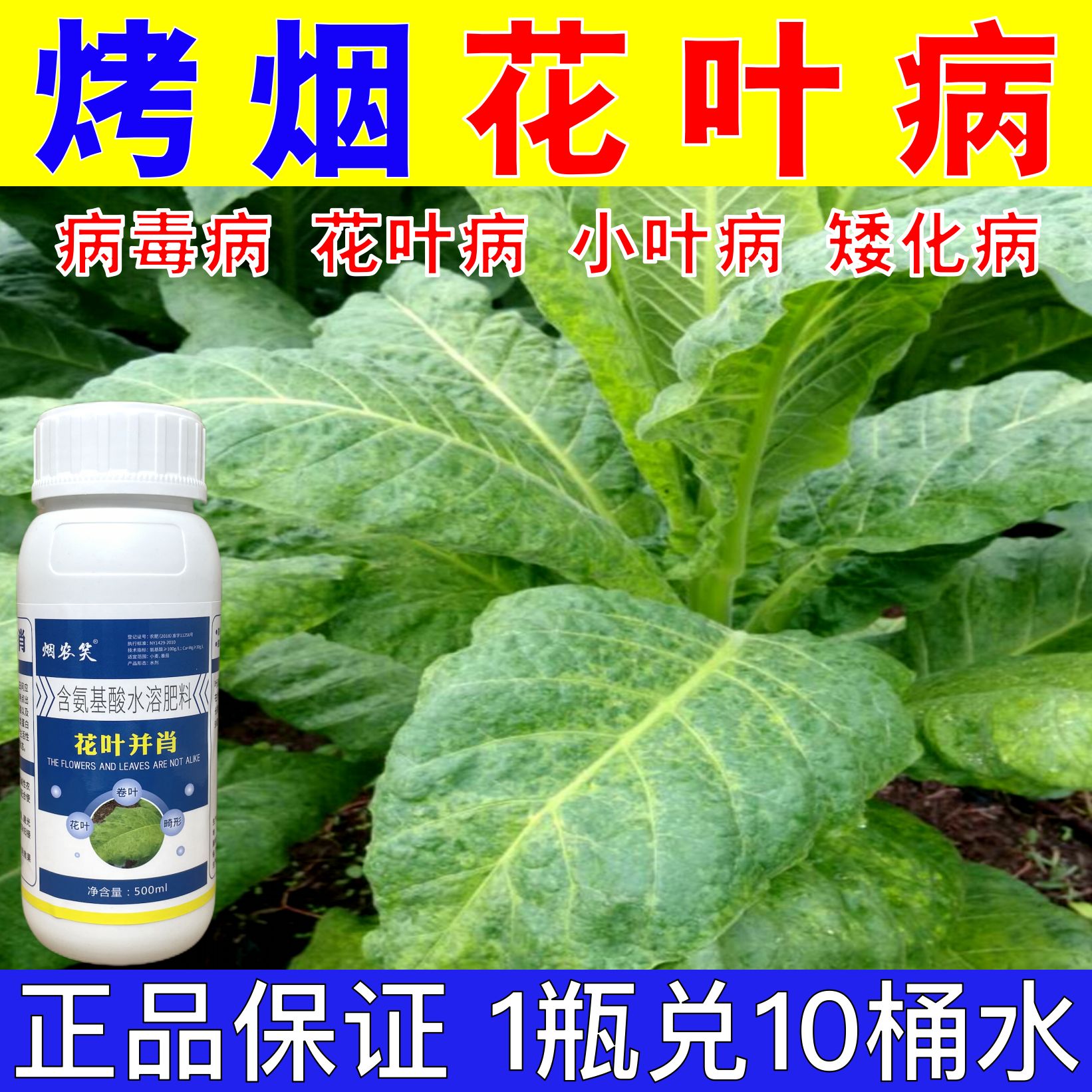 正品烟草花叶病毒病花叶卷叶曲叶花叶病毒清抗花叶防控低矮不生长