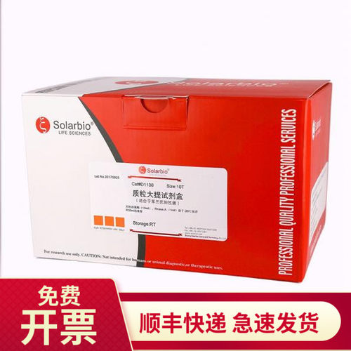 革兰氏阳性菌质粒大量提取试剂盒 10T D1130 索莱宝Solarbio