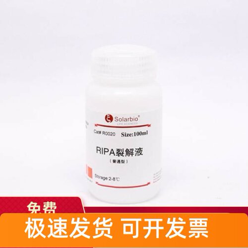 索莱宝Solarbio普通RIPA裂解液