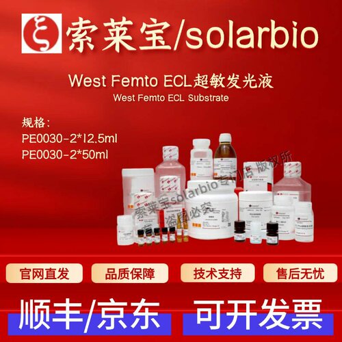 索莱宝Solarbio West Femto ECL超敏发光液 PE0030 2*12.5ml 科研