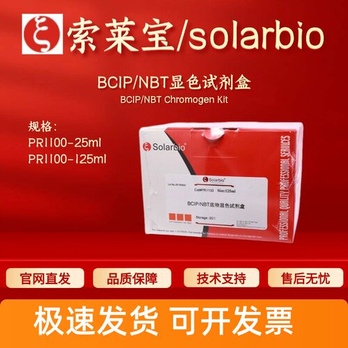 索莱宝Solarbio BCIP/NBT显色试剂盒PR1100 25ml 125ml科研实验