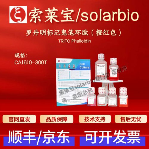 索莱宝solarbio 罗丹明标记鬼笔环肽(橙红色)CA1610 300T科研实验