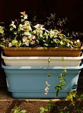 朴悦蓄水长槽盆托一体自吸水长方形花盆树脂花盆种菜盆