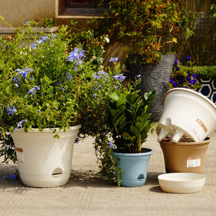 朴悦可拆卸托盘吸水盆蓄水花盆懒人盆树脂大花盆