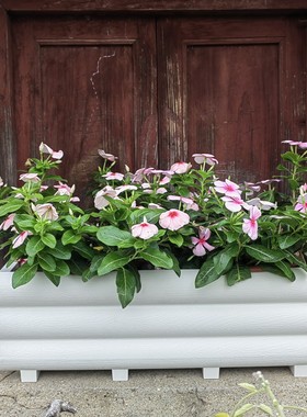 仿木纹风格长槽蓄水长方形花盆木头木纹花盆树脂花盆