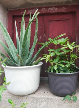 阿丽的花盆 户外使用十年加厚进口树脂花盆中钵矮钵草花球根花盆