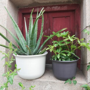 阿丽的花盆 户外使用十年加厚进口树脂花盆中钵矮钵草花球根花盆