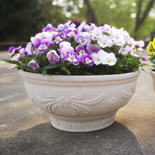 阿丽的花盆38包邮加厚树脂花盆绿萝盆矮牵牛花盆浮雕碗盆送托盘