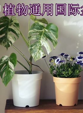 龟背竹彩叶芋秋海棠透气透水铁线莲月季绣球盆球根盆塑料树脂花盆