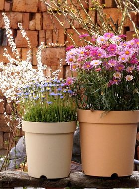 3件7折加厚透气透水热植龟背竹铁线莲月季绣球盆朱顶红球根花盆