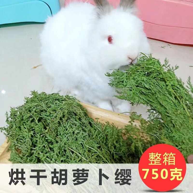 烘干胡萝卜樱兔兔子干草饲料草料龙猫豚鼠牧草粮胡萝卜缨叶子干叶