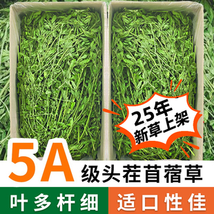 苜蓿草兔子粮草紫花干草幼兔食用豚鼠吃的粮食苜宿草专用兔粮饲料