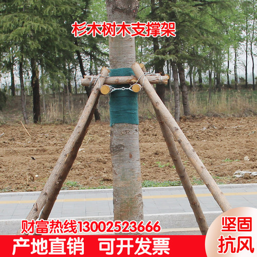 支撑架绿化树木防风工程固定