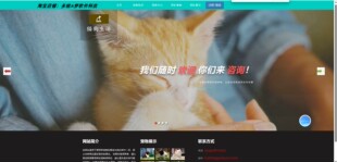 宠物管理系统 宠物领养系统 springMvc ssm jsp mysql maven